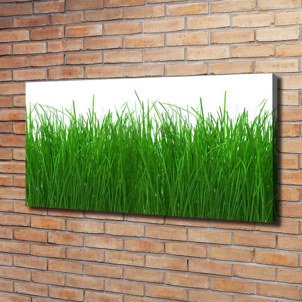 Canvas wall art Grass