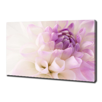 Canvas wall art White Dalia