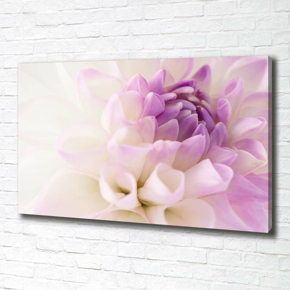 Canvas wall art White Dalia