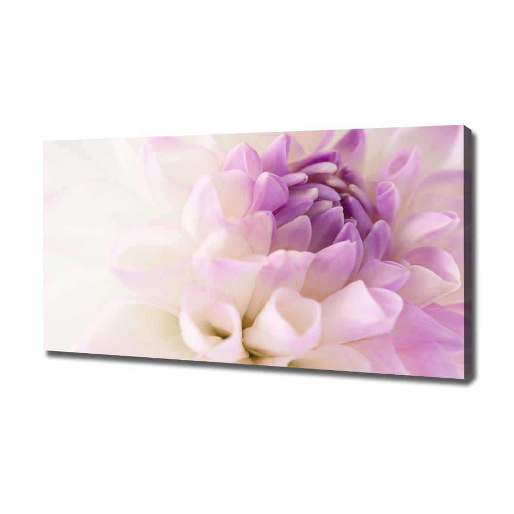 Canvas wall art White Dalia