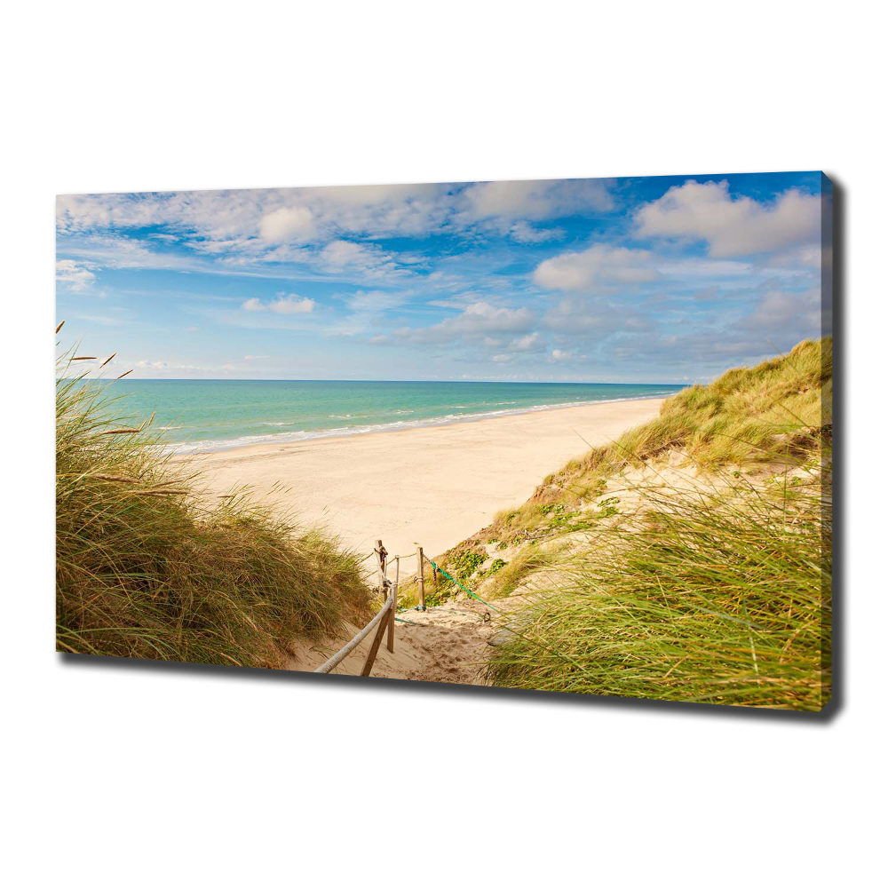 Canvas wall art Coastal dunes