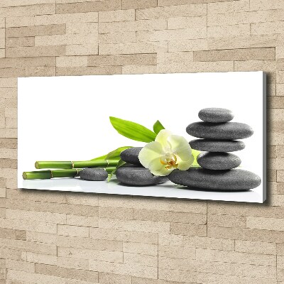 Canvas wall art Orchid