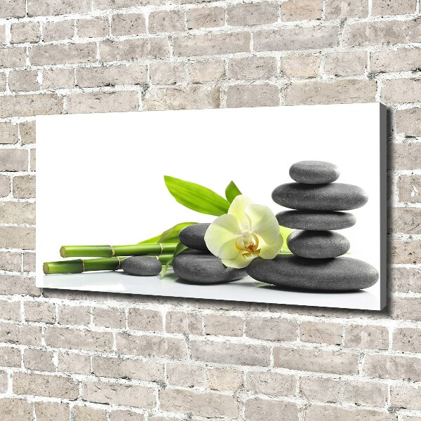 Canvas wall art Orchid