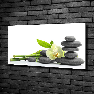 Canvas wall art Orchid