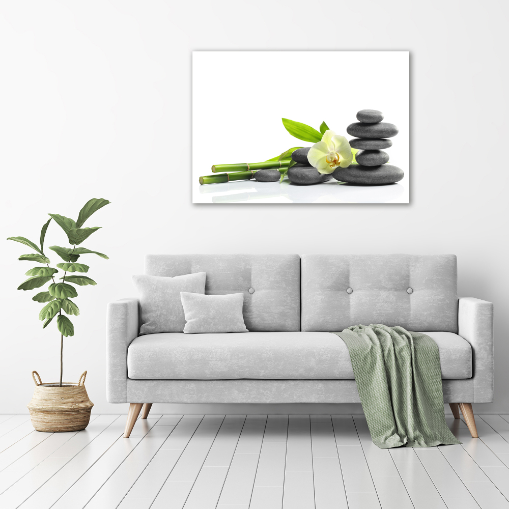 Canvas wall art Orchid