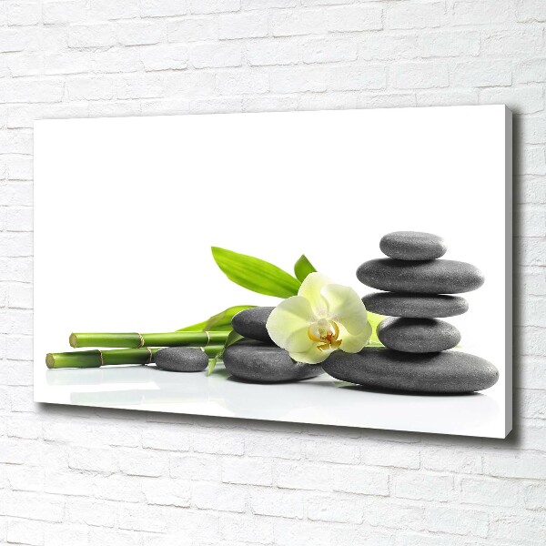 Canvas wall art Orchid