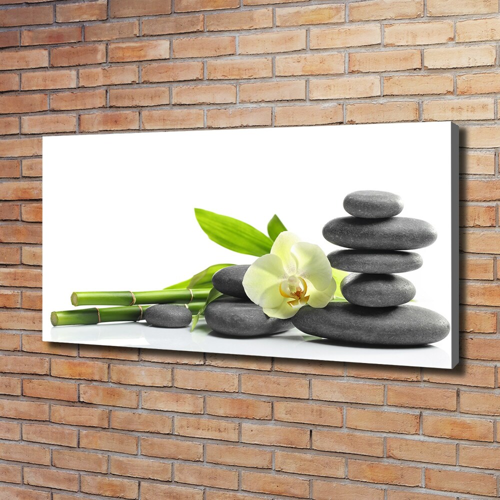 Canvas wall art Orchid