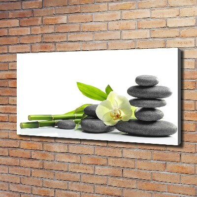 Canvas wall art Orchid