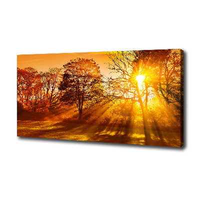 Canvas wall art Sunset