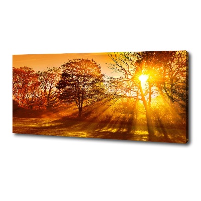 Canvas wall art Sunset