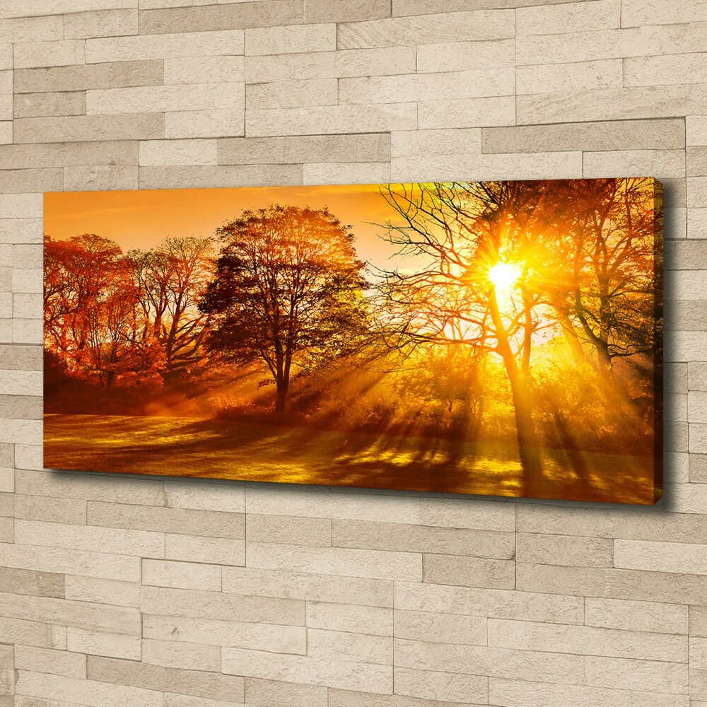 Canvas wall art Sunset