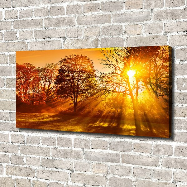 Canvas wall art Sunset