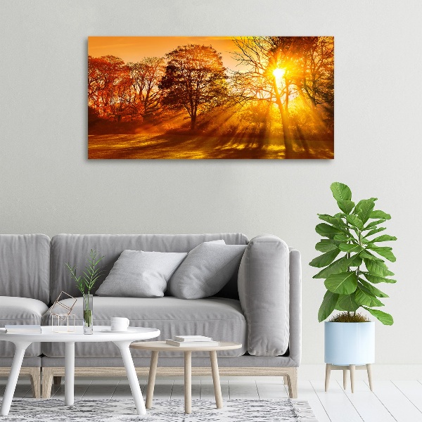 Canvas wall art Sunset