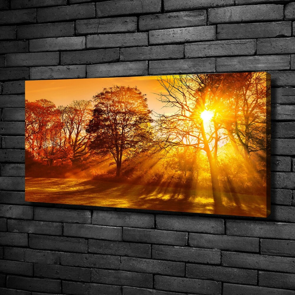 Canvas wall art Sunset