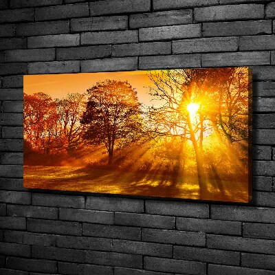 Canvas wall art Sunset