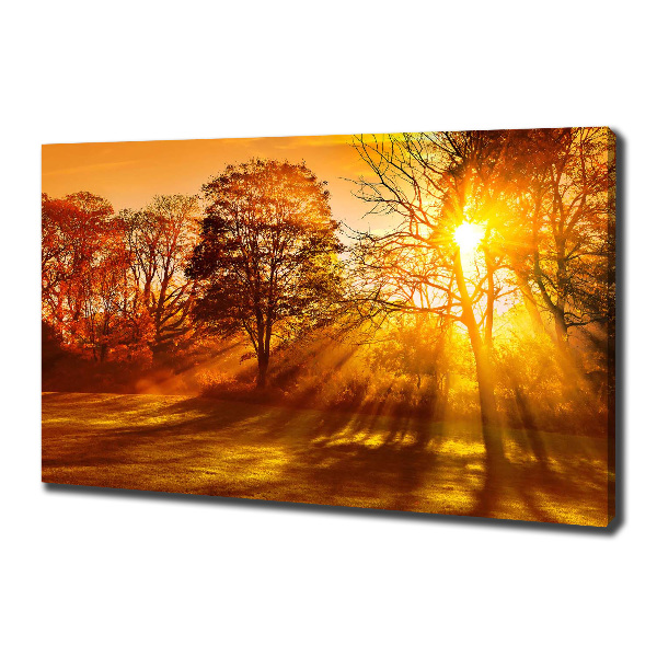 Canvas wall art Sunset