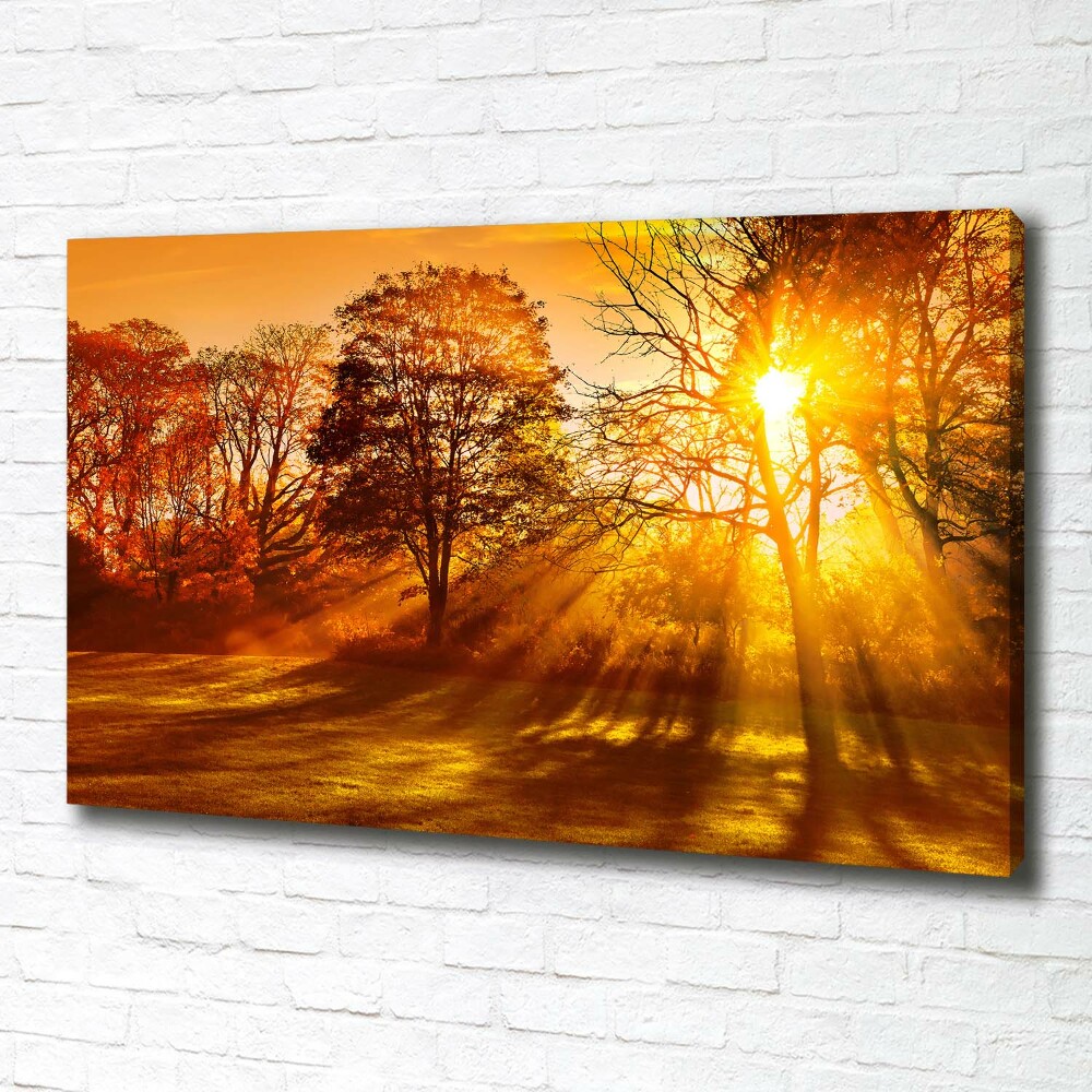 Canvas wall art Sunset