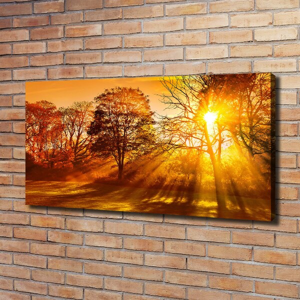 Canvas wall art Sunset