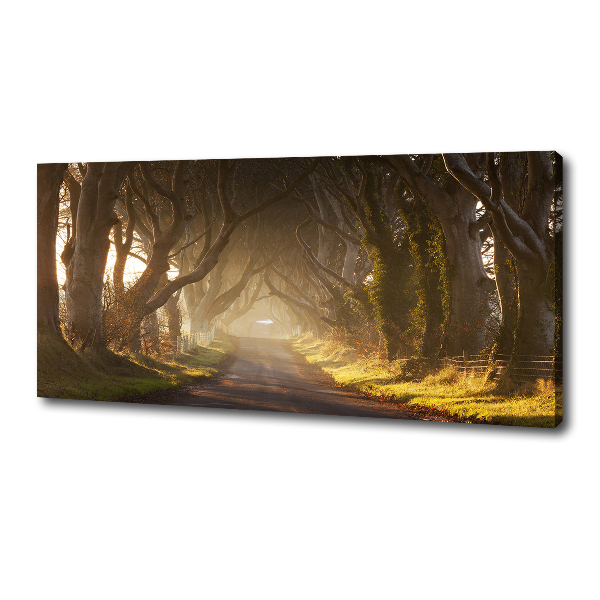 Canvas wall art Fog in the forest