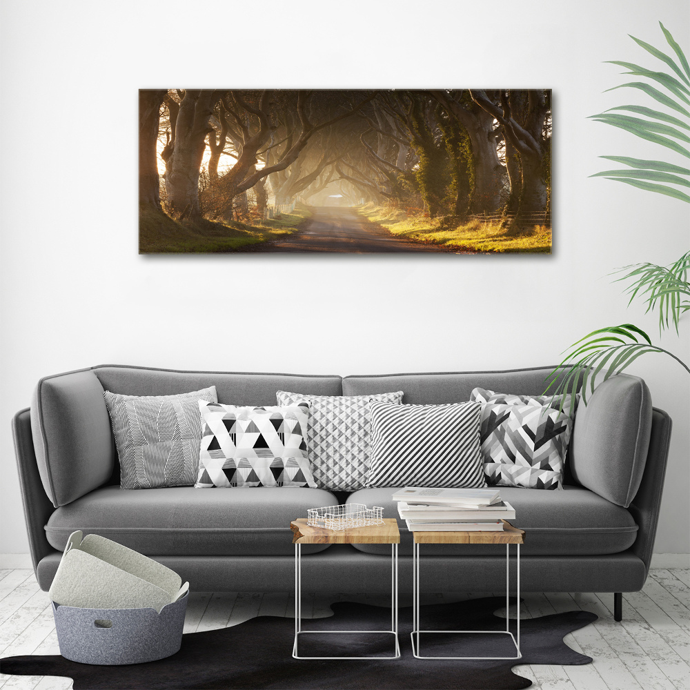 Canvas wall art Fog in the forest