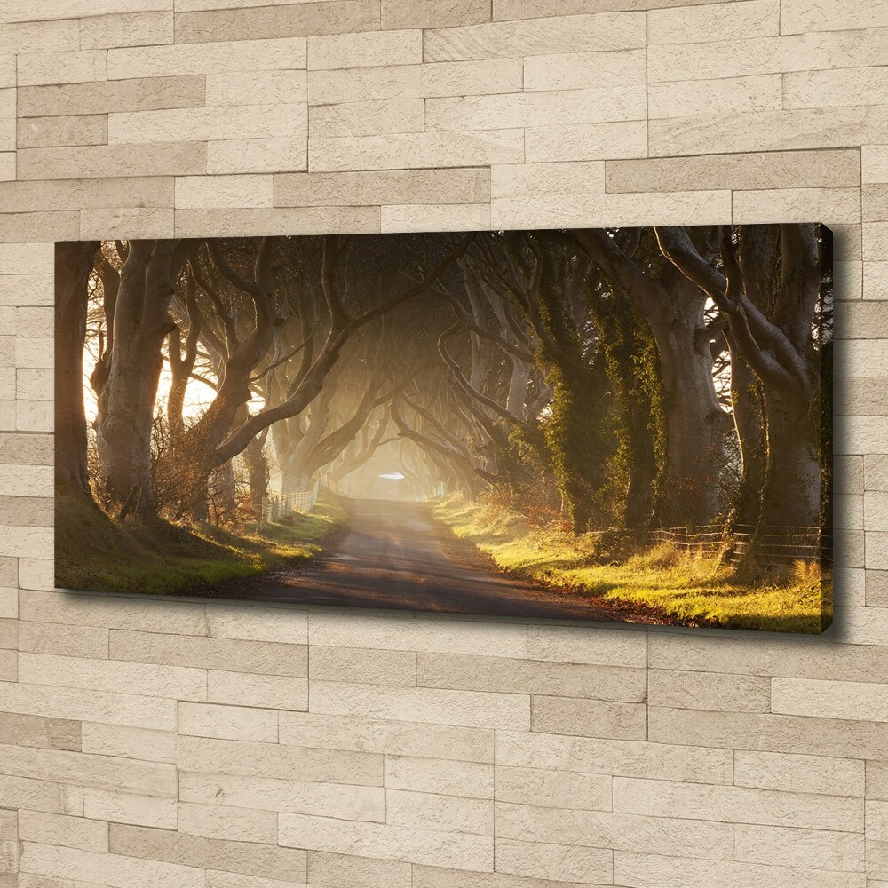 Canvas wall art Fog in the forest