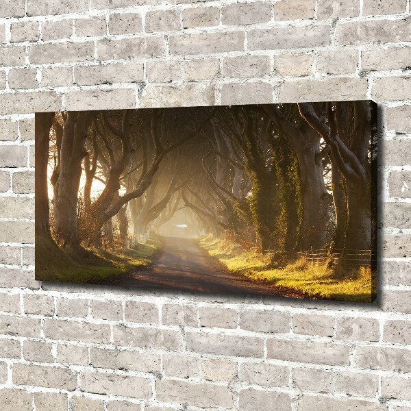 Canvas wall art Fog in the forest