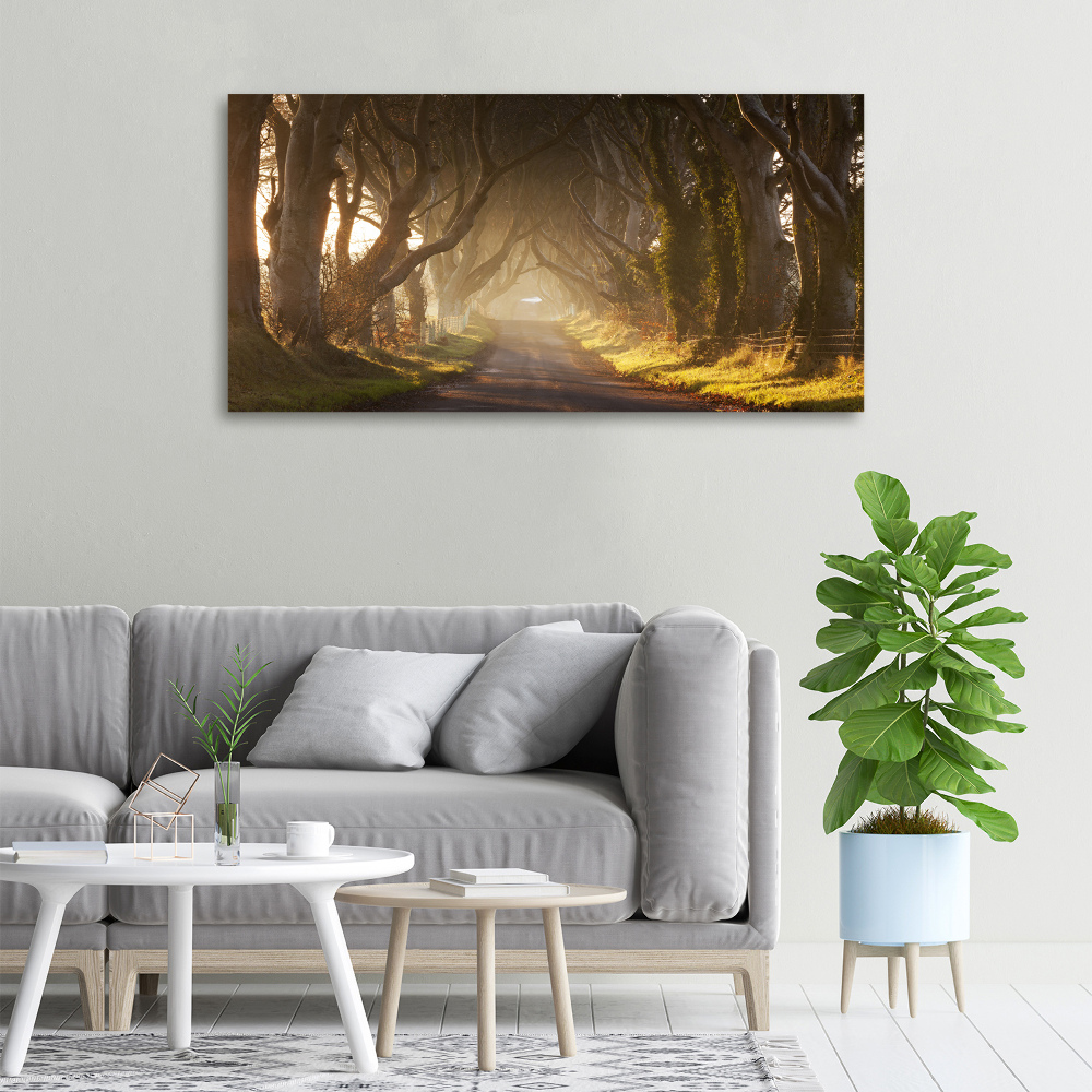 Canvas wall art Fog in the forest