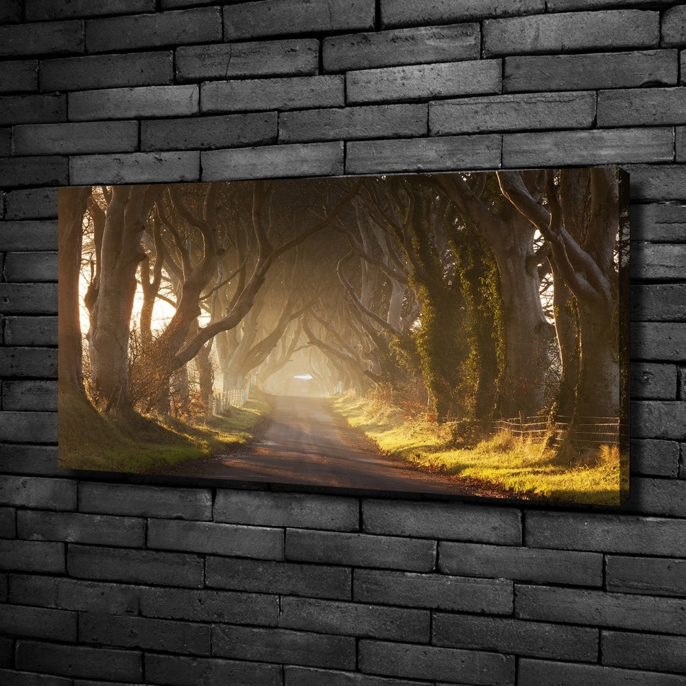 Canvas wall art Fog in the forest