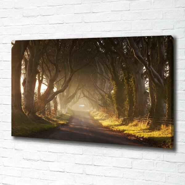 Canvas wall art Fog in the forest