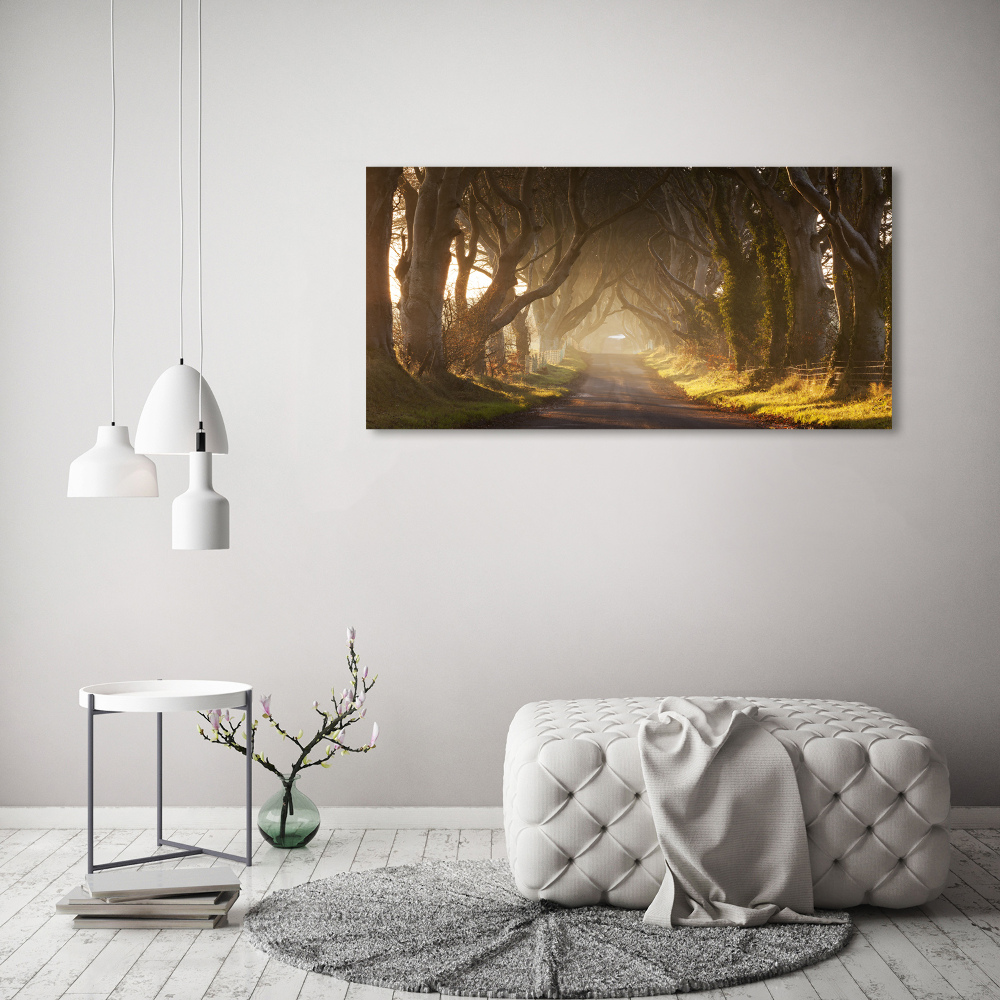 Canvas wall art Fog in the forest