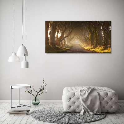 Canvas wall art Fog in the forest