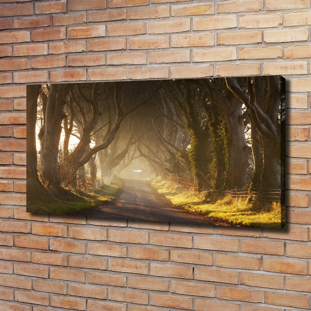 Canvas wall art Fog in the forest