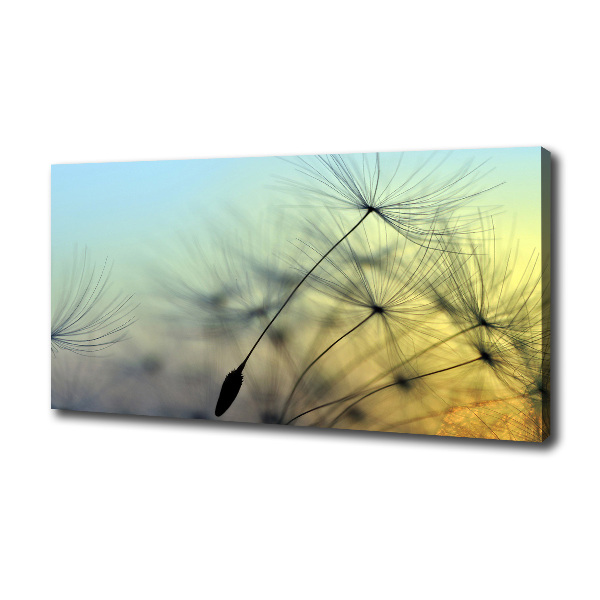 Canvas wall art Dandelion seeds