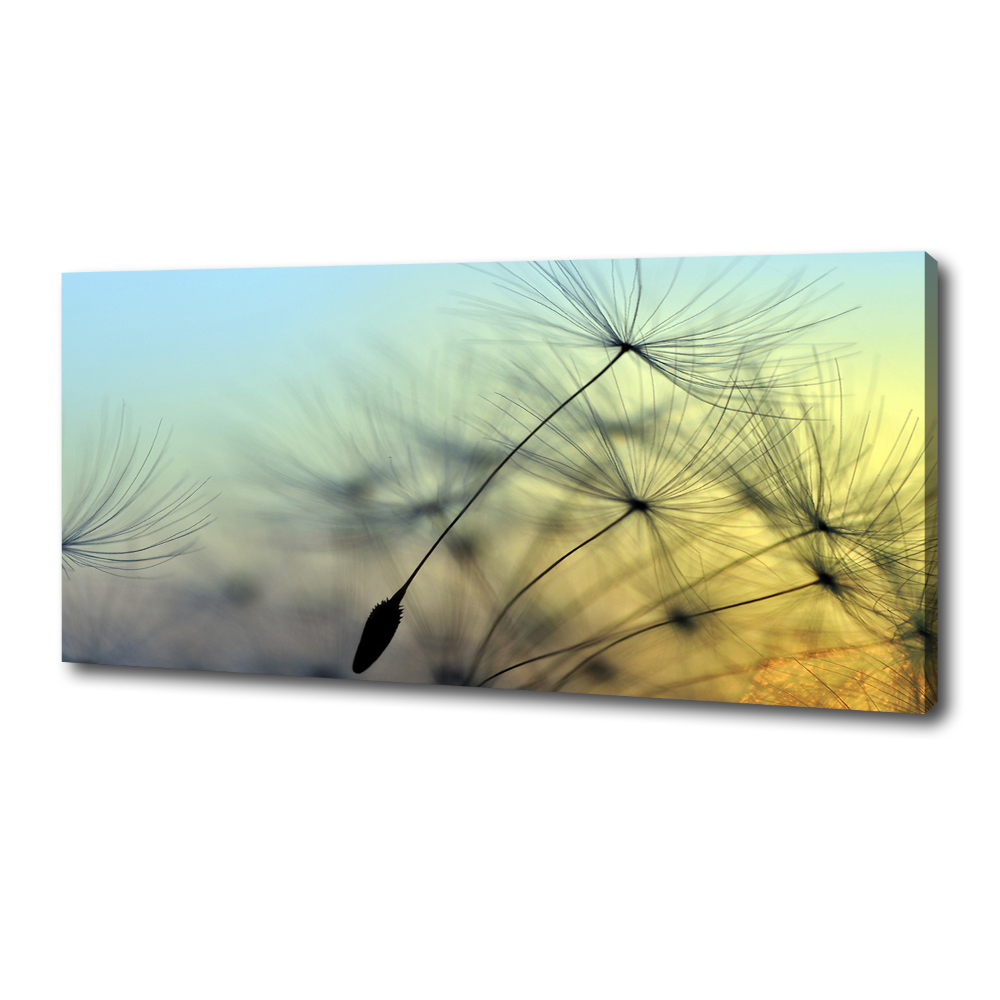 Canvas wall art Dandelion seeds