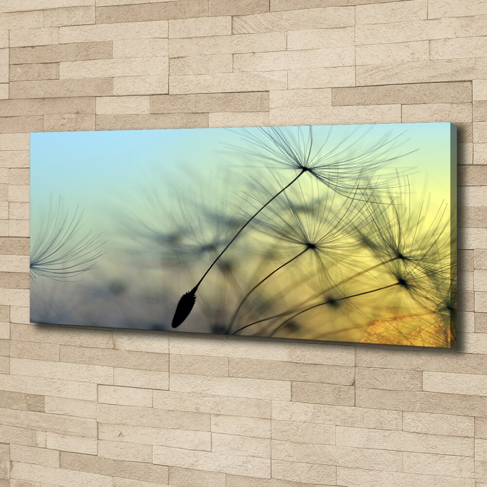 Canvas wall art Dandelion seeds