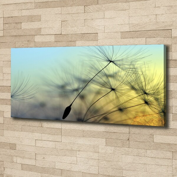 Canvas wall art Dandelion seeds