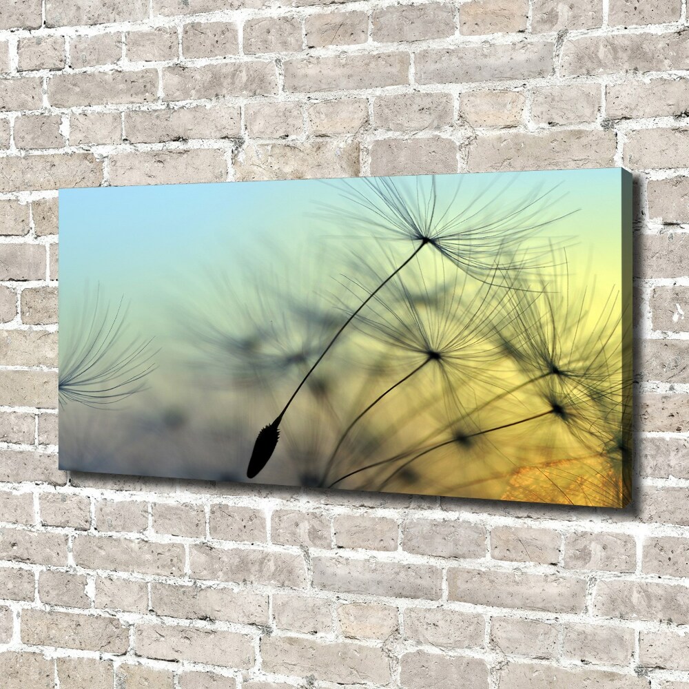 Canvas wall art Dandelion seeds