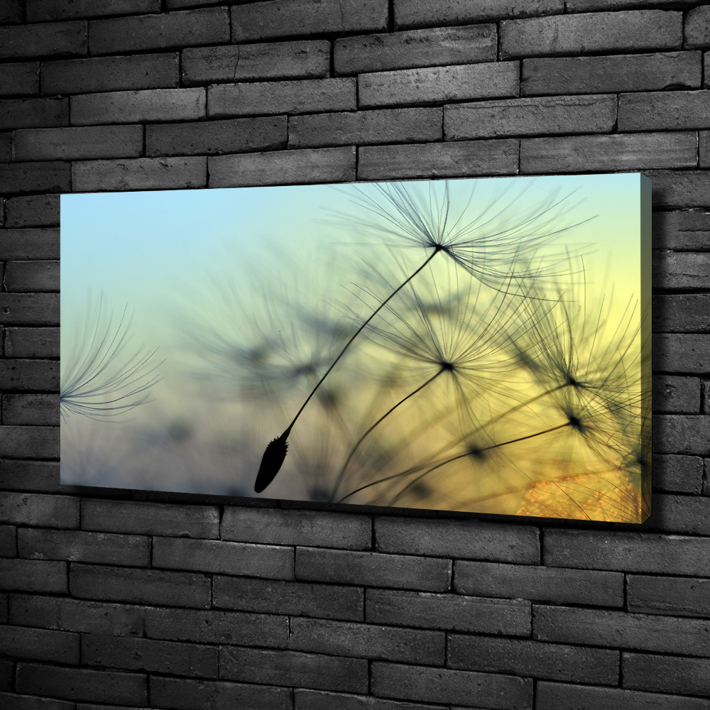 Canvas wall art Dandelion seeds