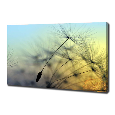 Canvas wall art Dandelion seeds