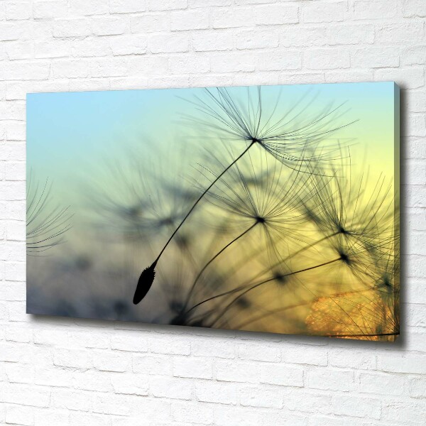 Canvas wall art Dandelion seeds