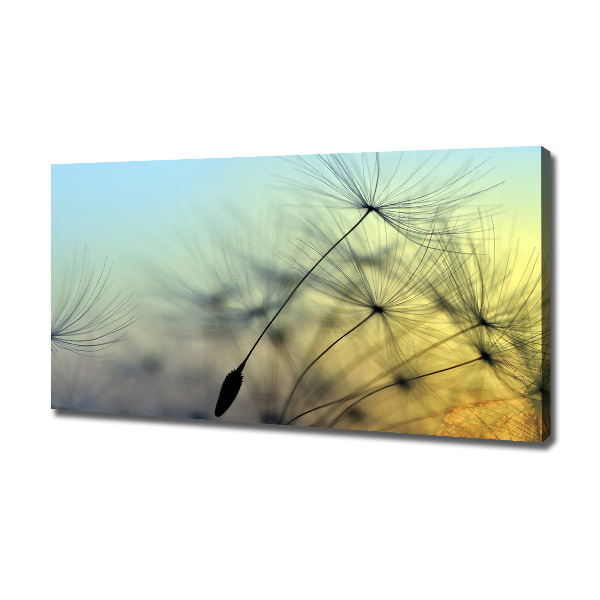 Canvas wall art Dandelion seeds