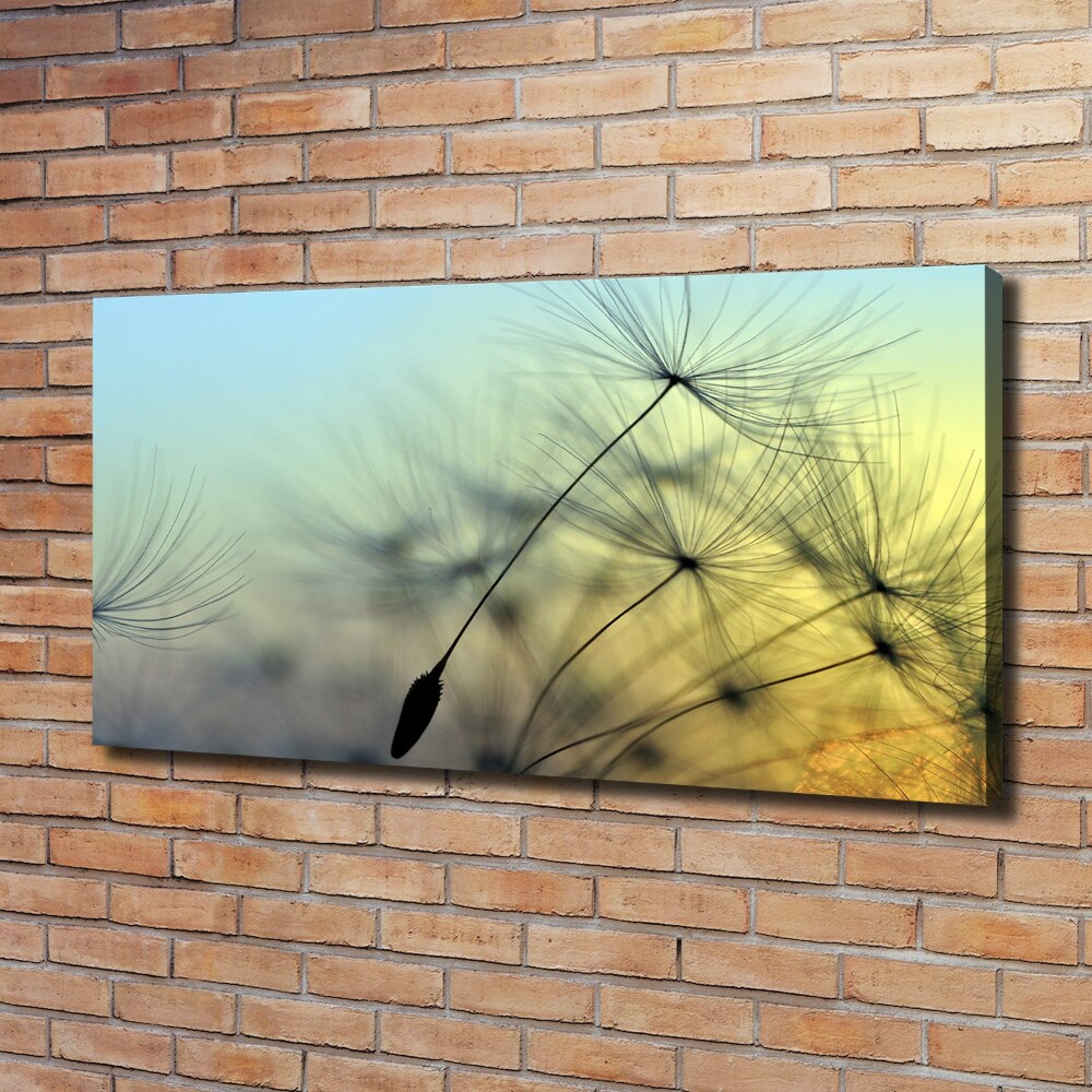 Canvas wall art Dandelion seeds