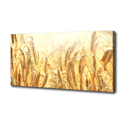 Canvas wall art Cereal