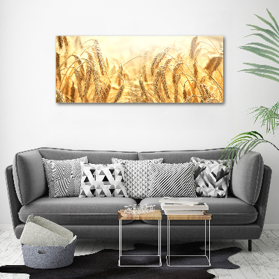 Canvas wall art Cereal