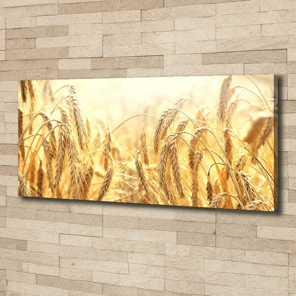 Canvas wall art Cereal