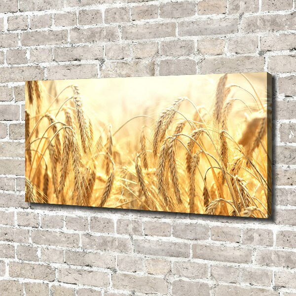 Canvas wall art Cereal