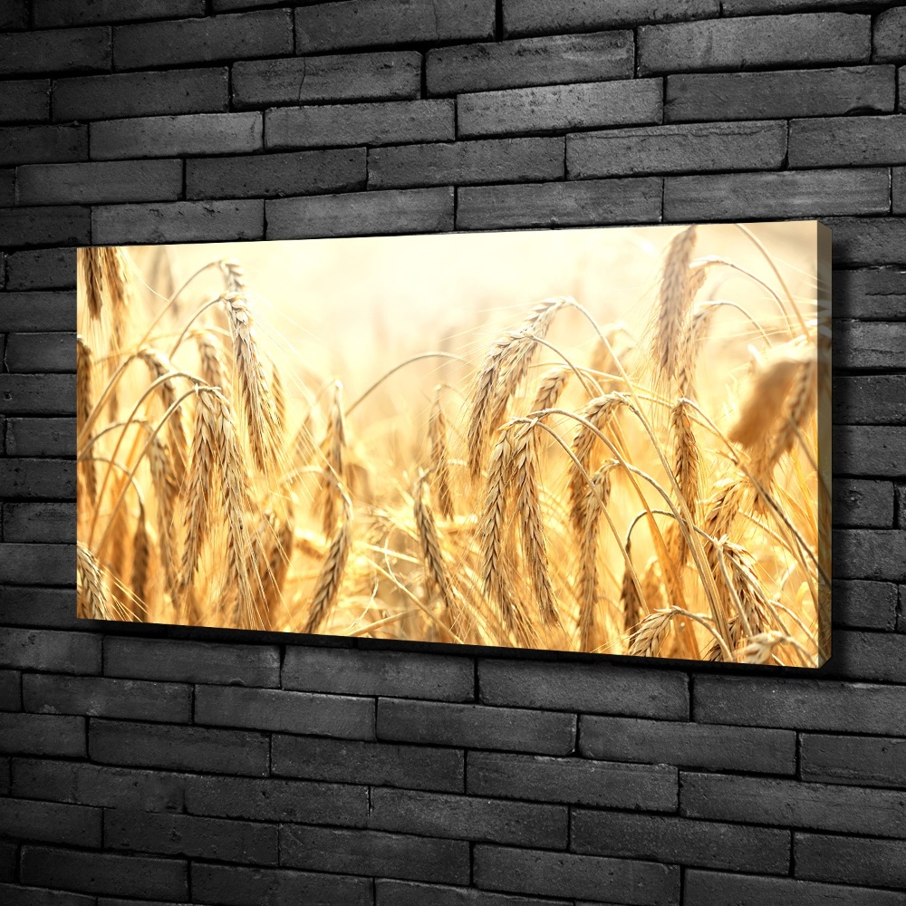 Canvas wall art Cereal