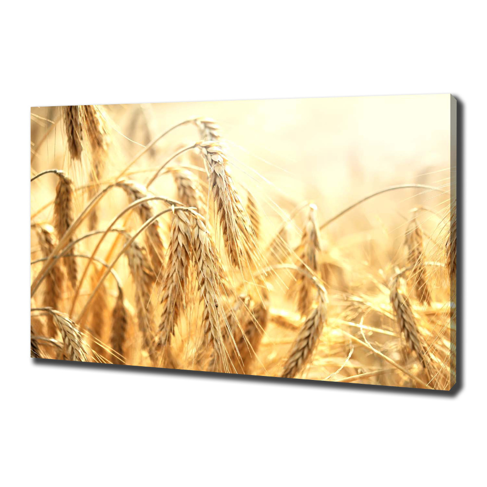 Canvas wall art Cereal