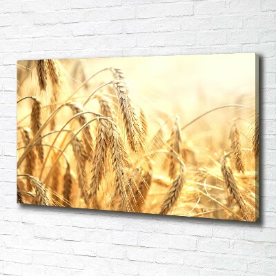 Canvas wall art Cereal