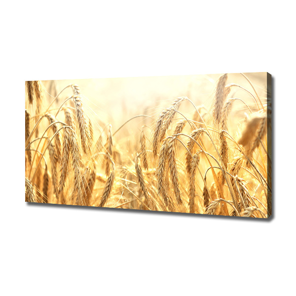 Canvas wall art Cereal